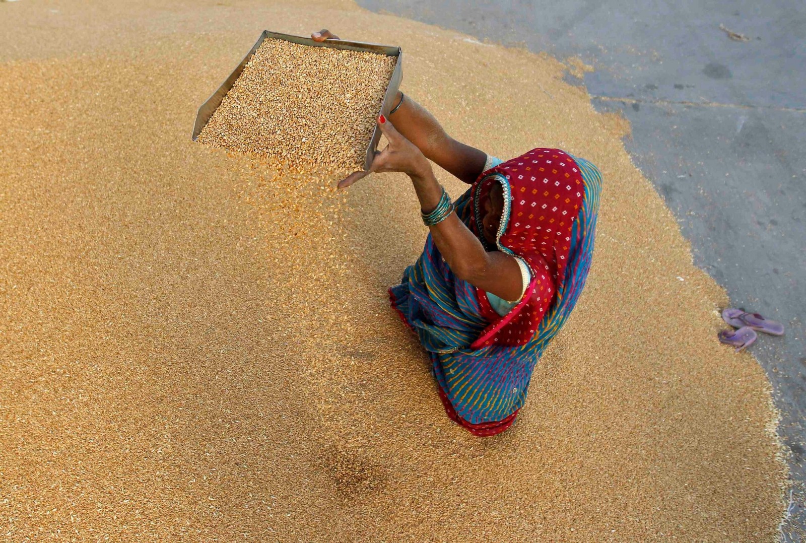 india-s-new-food-security-bill-makes-right-to-food-a-law-occupy