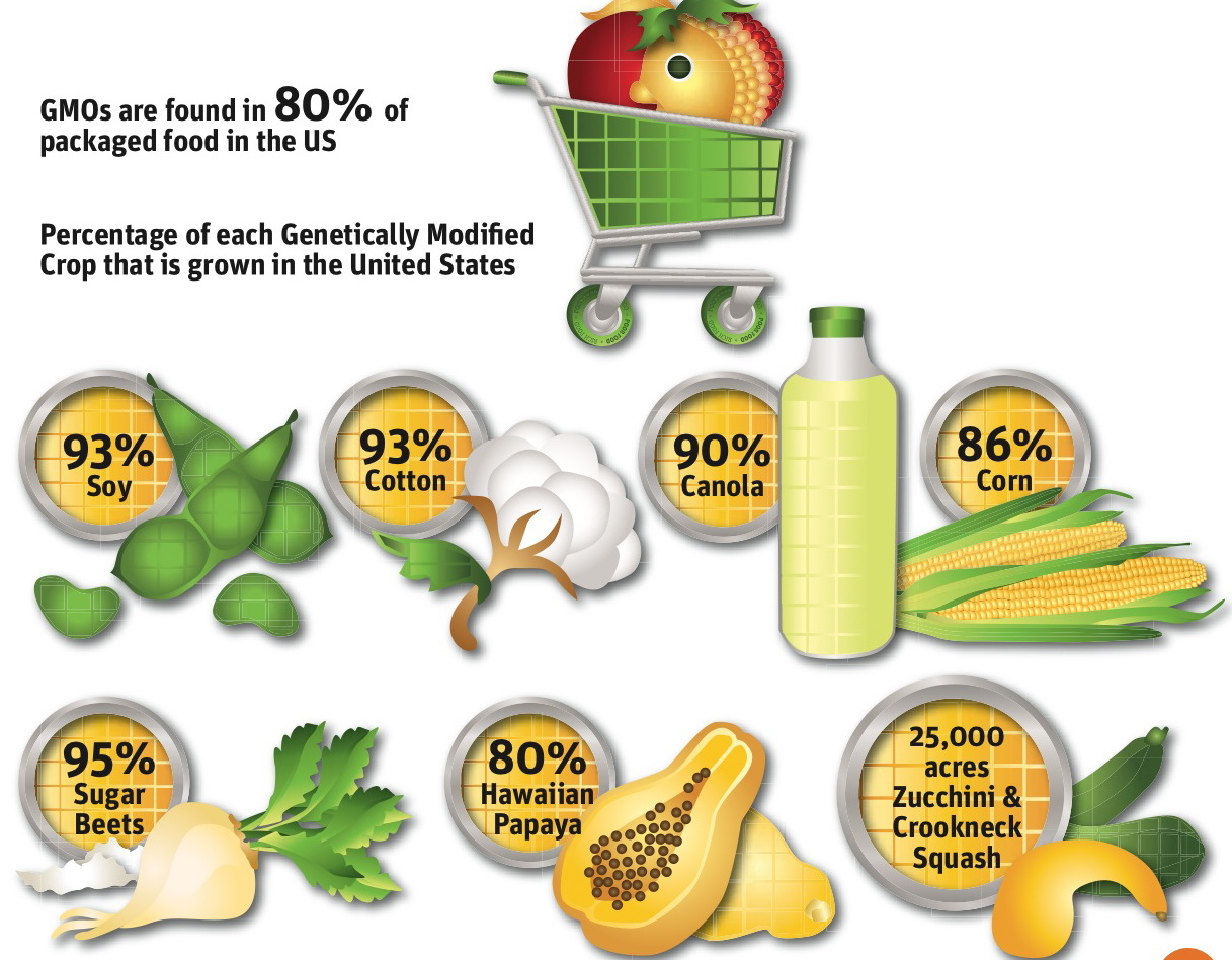 Продукция содержащая гмо. ГМО продукты. Генномодифицированные продукты. Продукты содержащие ГМО.