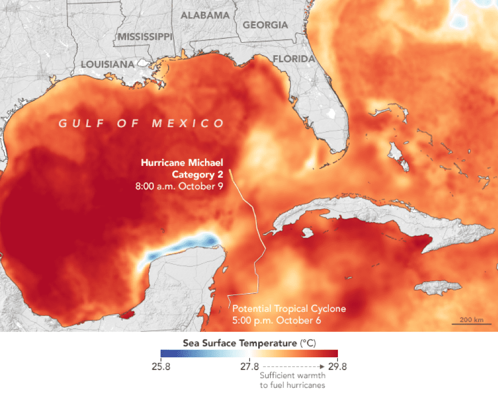 Water ocean temperatures around Florida as Hurricane Michael evolved. Illustration: NASA EOSDIS/LANCE