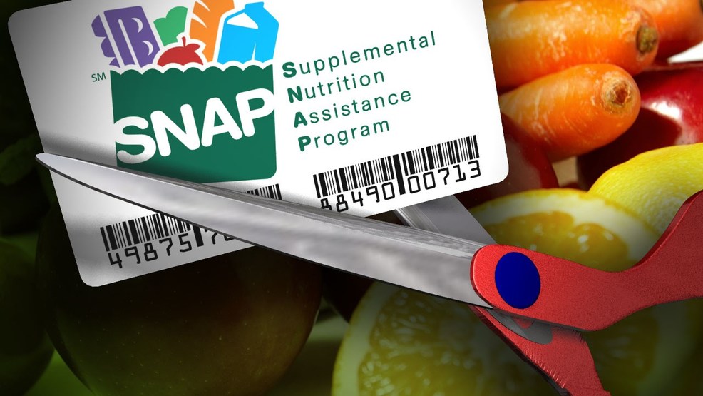 Trump, SNAP, Supplemental Nutrition Assistance Program, food aid, budget cuts, American hunger, EBT cards